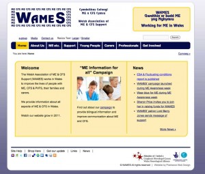 WAMES website Design